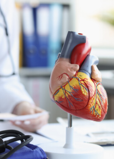 Cardiologist in Dharmapuri