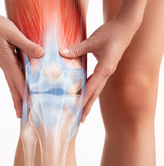 Orthopedic Speciality Hospital Dharmapuri